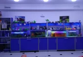 Şəhərin mərkəzində hazır biznes satılır