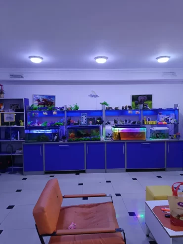 Şəhərin mərkəzində hazır biznes satılır