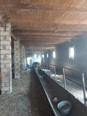 Təcili Hazır biznes satılır