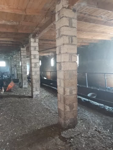 Təcili Hazır biznes satılır