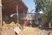 Təcili Hazır biznes satılır