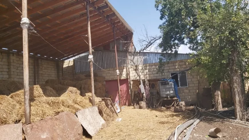 Təcili Hazır biznes satılır