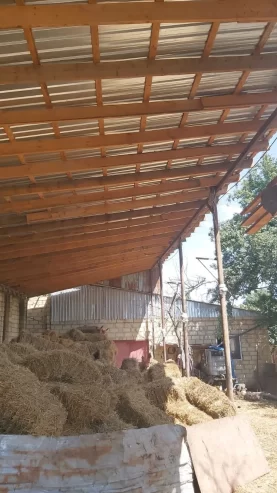 Təcili Hazır biznes satılır