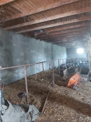 Təcili Hazır biznes satılır