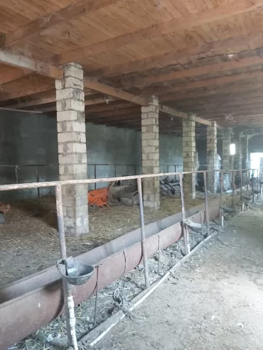 Təcili Hazır biznes satılır