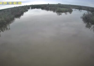 A415ECCC-CD13-4273-9E62-38EC59C216EA